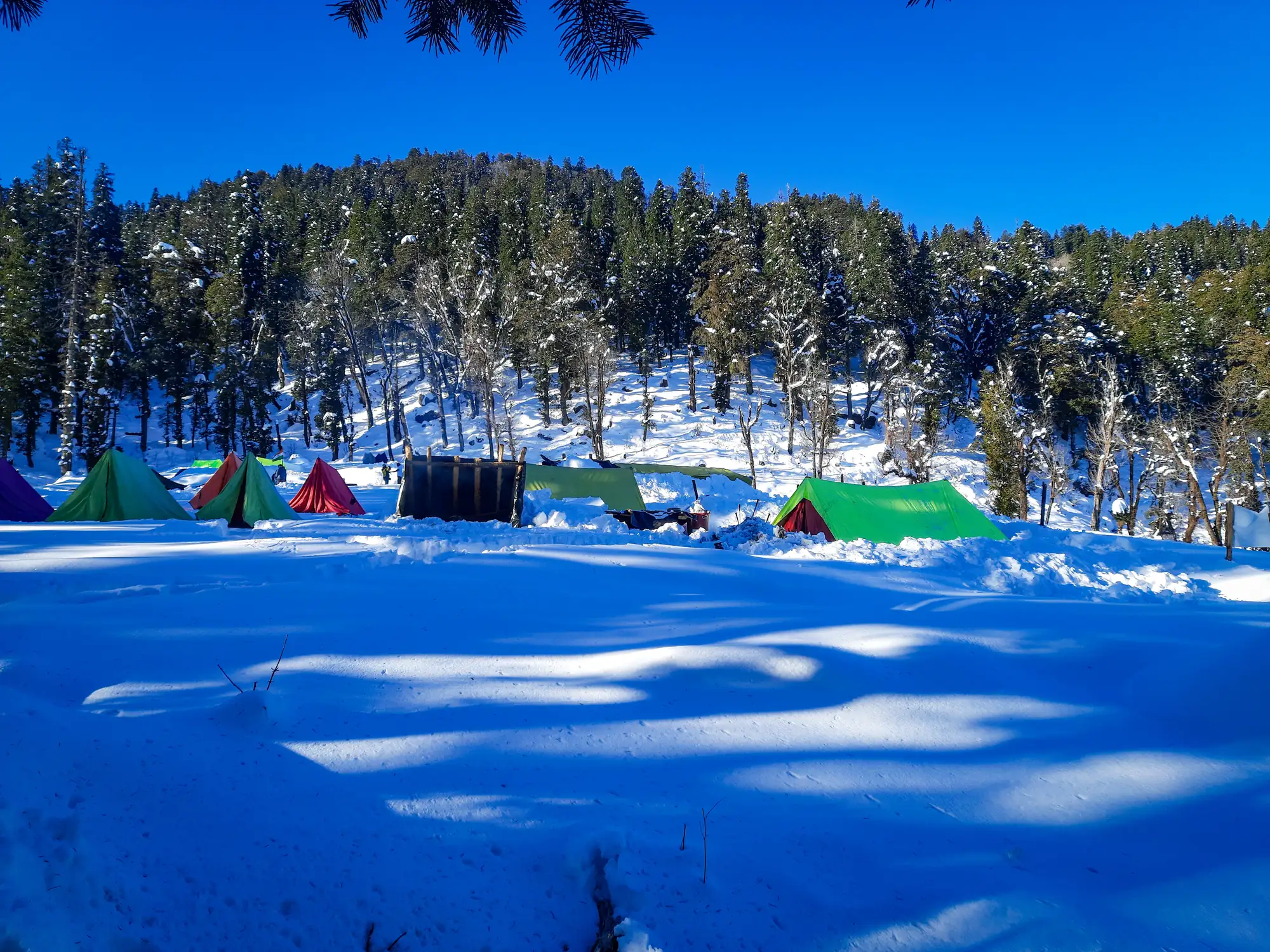 Morning glow on the snow-covered slopes