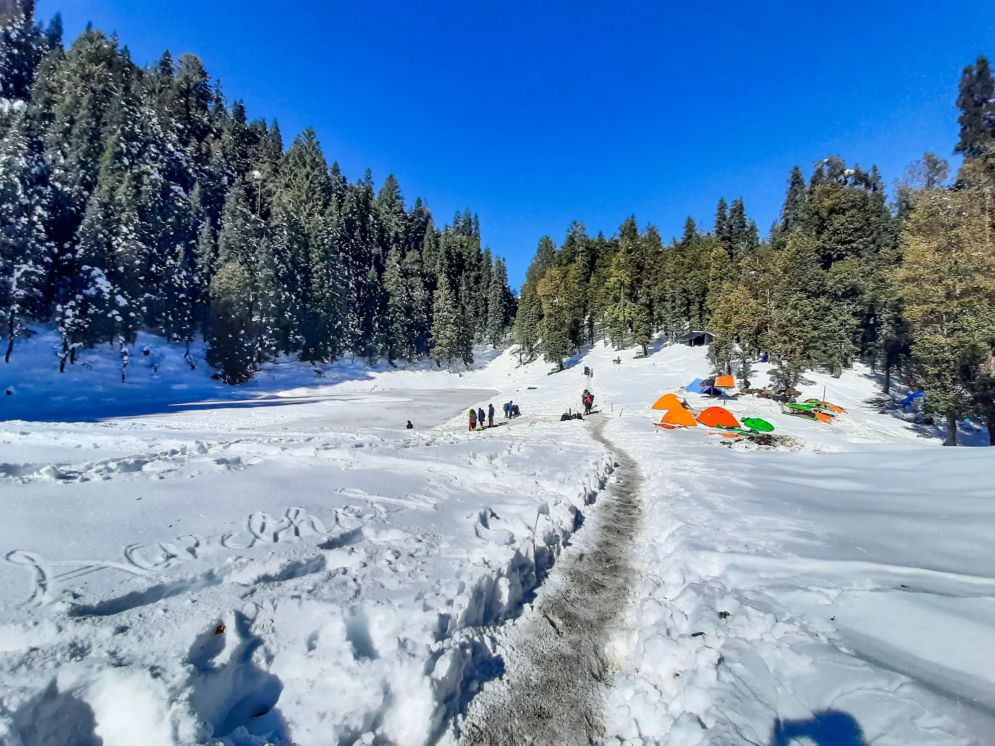 A clear winter sky above the treeline