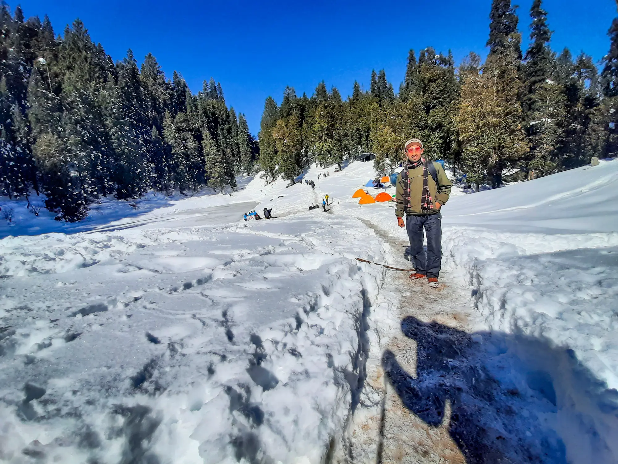 Snow-loaded pines along the summit trail