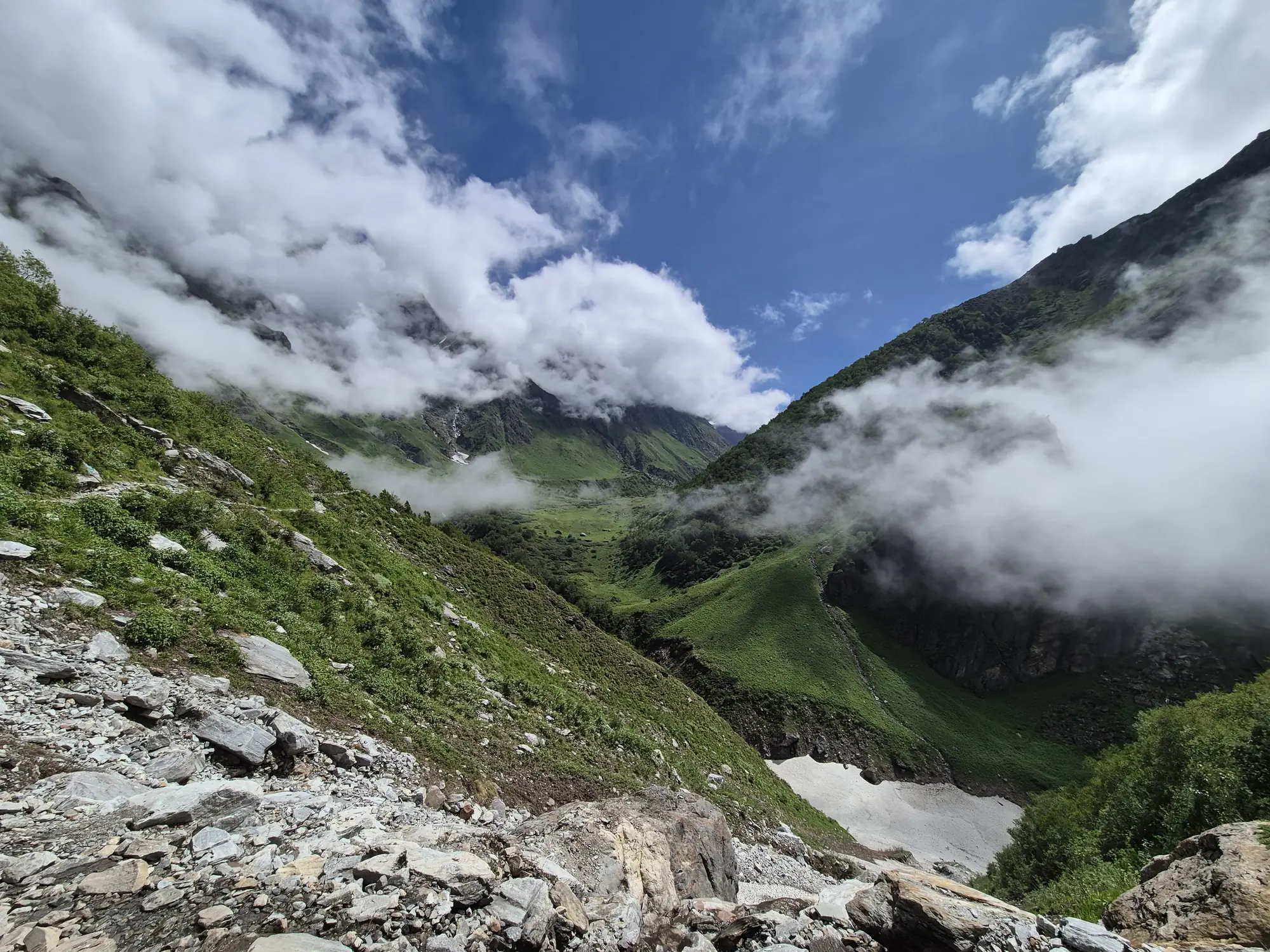Mountain walls rising above the bloom